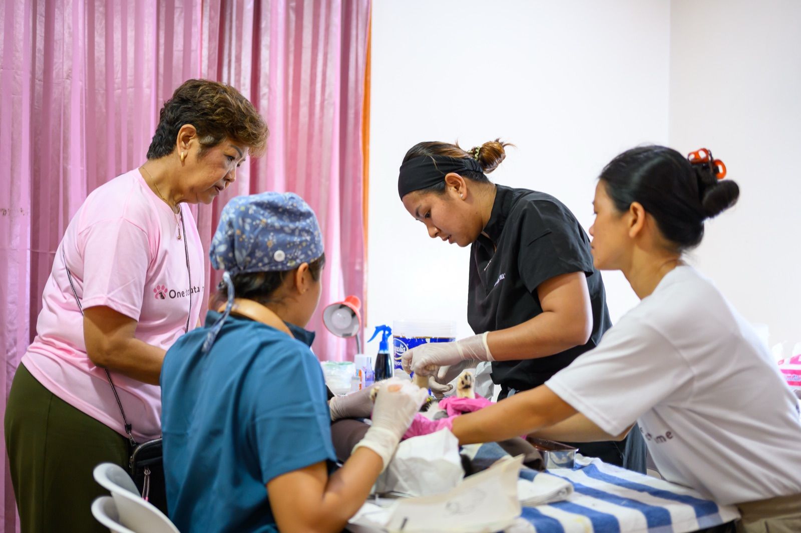 Animal neutering outreach programme