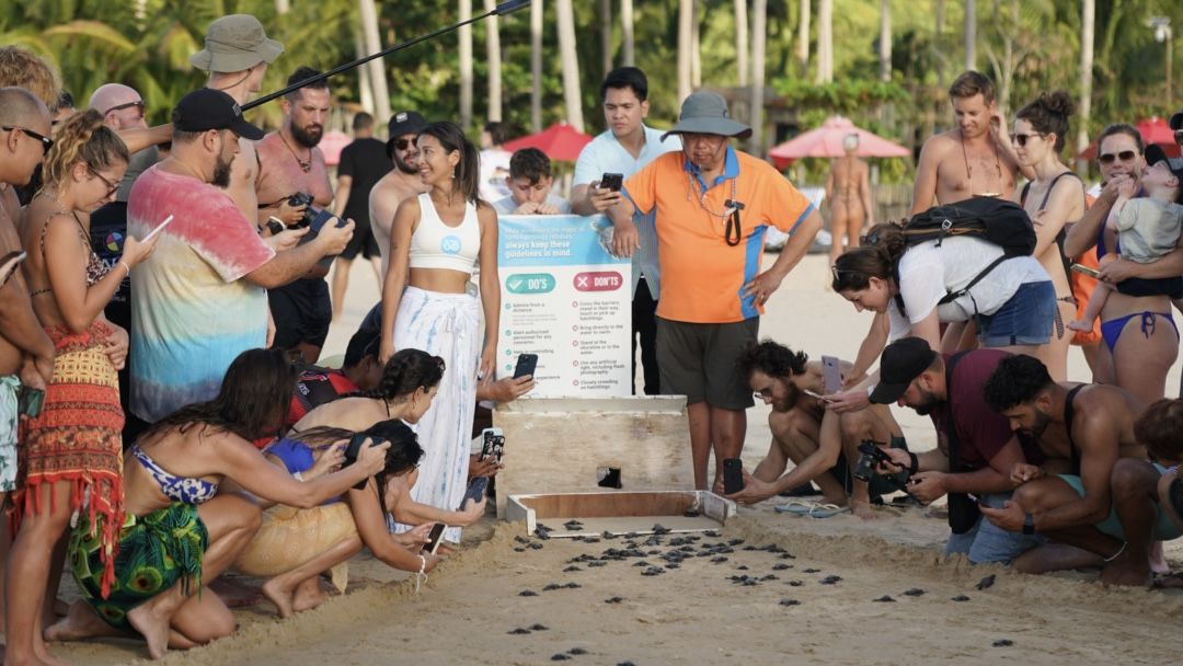 Nacpan Sea Turtle Center